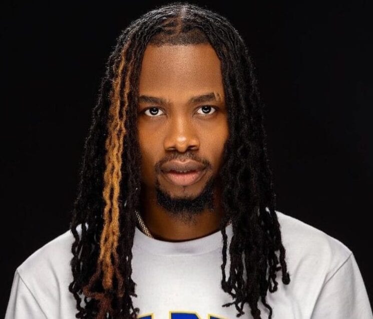Idowu Adeyemi (Yhemolee) portrait